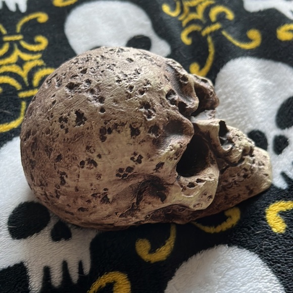 ๐ FISH ๐ฆ LIZARD AQUARIUM/TANK ๐ WAITED SKULL โ ๏ธ - Picture 7 of 7